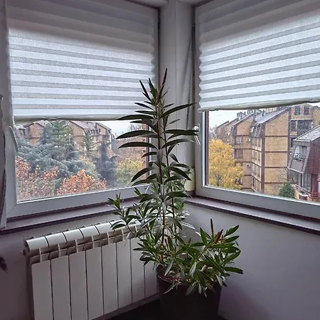 K2 Apartment Zarkovo